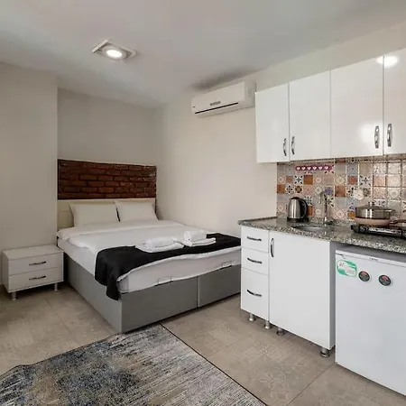 Cozy & Comfy Studio At Beyoglu - 29 Apartment