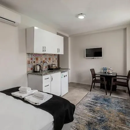 Cozy & Comfy Studio At Beyoglu - 29 Apartment Istanbul